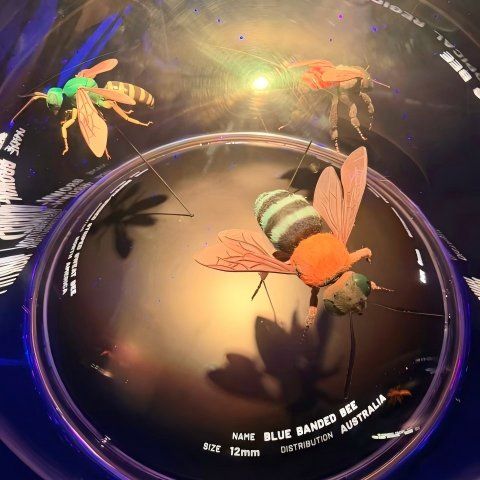 26060217125893524.jpg