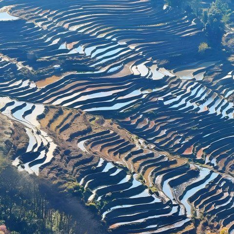 26061016260038882.jpg