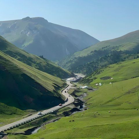 26061813141657856.jpg